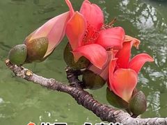 -广州西关永庆坊旅游区