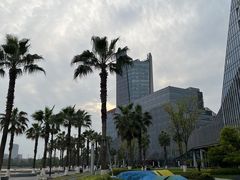 -金沙湖公园