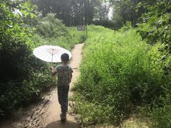 -东郊湿地公园