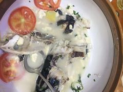 -全乐鱼馆·淳牌有机鱼直营店