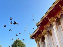 -洛阳白马寺
