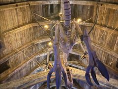 -木乃伊复仇过山车