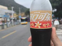 -杨梅坑