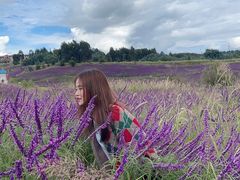 -华侨城阳宗海海景温泉