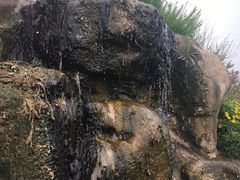 -秀丽东方