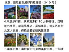 -南屏步行街