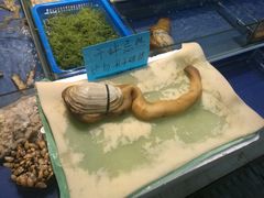 象拔蚌-海鲜城大家餐厅