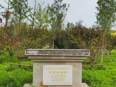 -万源龙顺度假庄园生态观光园