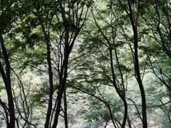 -辋川溶洞
