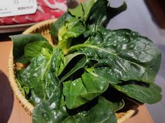 -巴奴毛肚火锅(大剧院店)