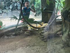 -大连森林动物园