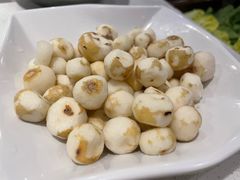 -百年果林椰子鸡(中洲店)