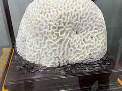 -游龙石文化科普馆