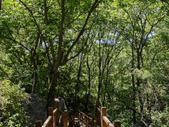 -大岭沟猕猴桃谷风景区