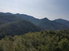 -宁波浙东大竹海景区