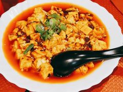 -熊猫川菜馆 panda chine