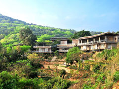 茶村-清源山风景区