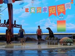 -三亚海昌梦幻海洋不夜城