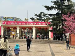 -昆明动物园