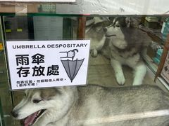 -龙城大药房