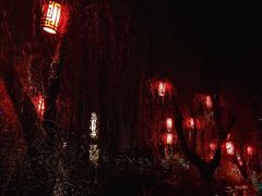 -壹生壹世·农家烤鱼