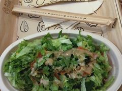-油梨树 AVOCADO TREE(亮马桥店)