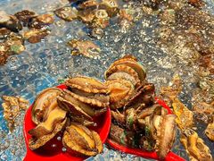 -焰江山海鲜牛排烤肉自助(锦华万达二星店)