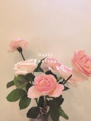 -FUMEIHUI·科技美肤·美体SPA