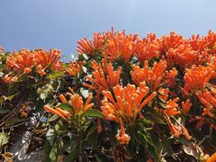 -中国移动南方基地