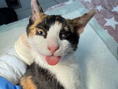 -仁普宠物诊所·中兽医·夜诊·狂犬免疫点(住友昌盛新苑店)