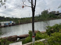 -小绿谷公园
