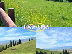 -新疆那拉提国家旅游度假区