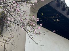 -八大山人梅湖景区