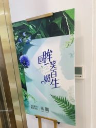 -YESIDO椰岛造型