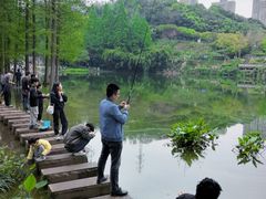 -重庆彩云湖湿地公园