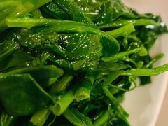 清炒豌豆尖-多味居(剪子巷店)