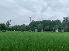 -洪湖家庭农场·团建·露营·会议