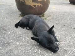 -杭州电子科技大学(下沙校区)