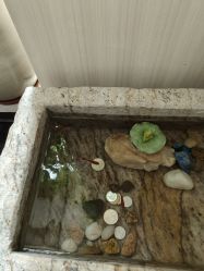 -梦白空间瑜伽馆