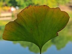 -艾溪湖湿地公园