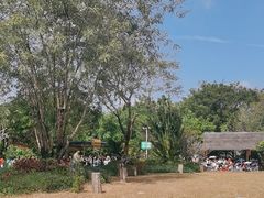 -广州长隆飞鸟乐园