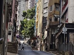 -香港蓮香樓(中環店)