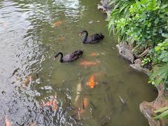 -珠海圆明新园