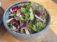 嫩烧金枪鱼沙拉-Hatsune隐泉日式料理(三里屯太古里店)