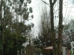 -三圣花乡旅游区