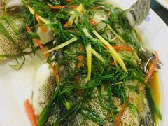 -长平肥姐白粥·海鲜打冷