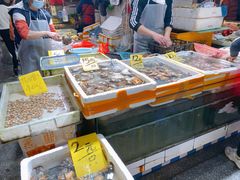 水产区-珠光市场(文德南路)