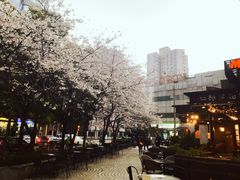 -玛格萝妮比萨屋(四平店)