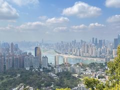 -南山植物园