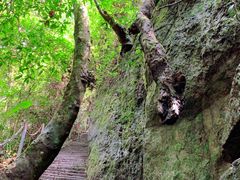 -七仙岭温泉国家森林公园